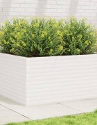 vidaXL Градински сандък бял 100x100x46 см масивна борова дървесина