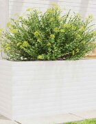 vidaXL Градински сандък бял 90x40x455 см масивна борова дървесина