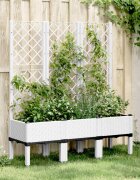 vidaXL Градински сандък с пергола бял 120x40x142 см PP