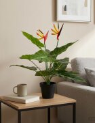 vidaXL Изкуствено растение Стрелиция Зелено 65 x 13 x 55 см