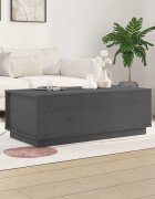 vidaXL Кафе маса сива 100x50x35 см бор масив