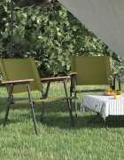 vidaXL Къмпинг столове 2 бр зелени 54x55x78 см Оксфорд плат