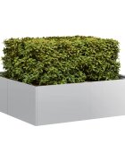 vidaXL Кашпа 100x100x30 см поцинкована стомана