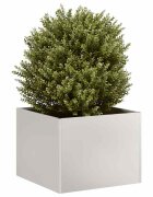 vidaXL Кашпа 40x40x30 см неръждаема стомана