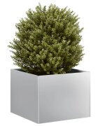 vidaXL Кашпа 40x40x30 см поцинкована стомана