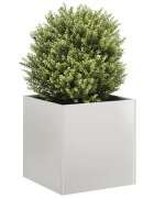 vidaXL Кашпа 40x40x40 см неръждаема стомана