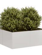 vidaXL Кашпа 80x80x30 см неръждаема стомана