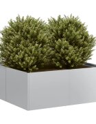 vidaXL Кашпа 80x80x30 см поцинкована стомана