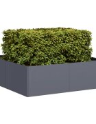 vidaXL Кашпа антрацит 100x100x30 см стомана