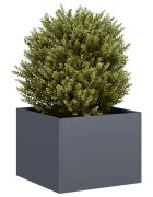 vidaXL Кашпа антрацит 40x40x30 см стомана