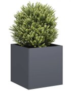 vidaXL Кашпа антрацит 40x40x40 см студеновалцувана стомана