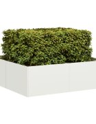 vidaXL Кашпа бяла 100x100x30 см стомана