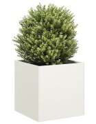 vidaXL Кашпа бяла 40x40x40 см студеновалцувана стомана