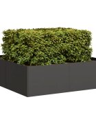 vidaXL Кашпа черна 100x100x30 см стомана