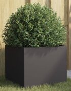 vidaXL Кашпа черна 32x30x29 см стомана