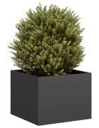 vidaXL Кашпа черна 40x40x30 см стомана