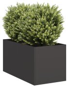vidaXL Кашпа черна 40x80x40 см студеновалцувана стомана