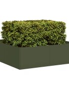 vidaXL Кашпа маслиненозелена 100x100x30 см стомана