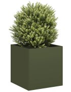 vidaXL Кашпа маслиненозелена 40x40x40 см студеновалцувана стомана
