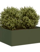 vidaXL Кашпа маслиненозелена 80x80x30 см стомана
