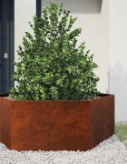 vidaXL Кашпа ръждиво 138x120x45 см кортенова стомана