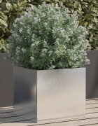 vidaXL Кашпа сребриста 32x30x29 см неръждаема стомана