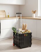 vidaXL Количка Черен и Червен 35 x 39 x 92 см PP и еластомер
