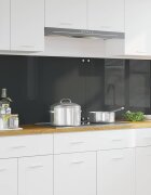 vidaXL Кухненски гръб 2 бр. Тъмен сив 100 x 60 cm закалено стъкло