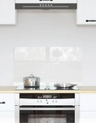vidaXL Кухненски гръб Прозрачен 70 x 40 cm закалено стъкло
