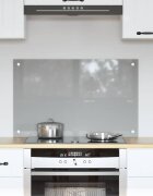 vidaXL Кухненски гръб Светлосиво 80 x 50 cm закалено стъкло