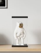 vidaXL Кутия витрина прозрачна 20x20x38 см акрил