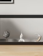 vidaXL Кутия витрина прозрачна 31x17x19 см акрил
