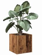 vidaXL Кутия за саксии от старо дърво 40x40x40 cm Инженерна дървесина