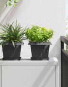 vidaXL Квадратен цветен поднос 24 бр. Черно 18 x 18 x 2 см Пластмаса