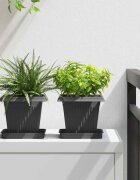 vidaXL Квадратна цветна саксия 24 бр. Черно 16 x 16 x 14 см Пластмаса