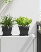 vidaXL Квадратна цветна саксия 24 бр. Черно 20 x 20 x 16 см Пластмаса