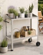 vidaXL Маса за засаждане с колела 96 x 50 x 89 см Неръждаема стомана