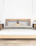 vidaXL Нощни шкафчета 2 бр черни 40x30x555 см инженерно дърво