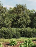 vidaXL Ограда от телена мрежа антрацит 16x10 м поцинкована стомана