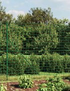 vidaXL Ограда от телена мрежа зелена 2x25 м поцинкована стомана