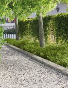 vidaXL Ограда за трева 10 бр. 103 x 20 см Стомана Сребристо
