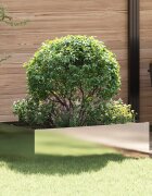 vidaXL Ограда за трева 100 x 60 x 35 cm Стомана Сребристо