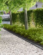 vidaXL Ограда за трева 20 бр. 100 x 10 x 8 см Стомана Антрацит