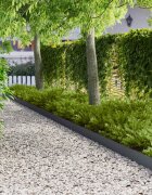 vidaXL Ограда за трева 20 бр. 100 x 15 cm Стомана Антрацит