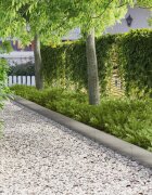 vidaXL Ограда за трева 20 бр. 103 x 20 см Стомана Сребристо