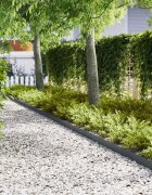 vidaXL Ограда за трева 30 бр. 100 x 005 x 15 см Антрацит