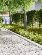 vidaXL Ограда за трева 30 бр. 100 x 005 x 15 см Бяло