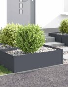 vidaXL Ограда за трева 4 бр. 100 x 60 x 35 cm Стомана Антрацит