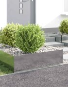 vidaXL Ограда за трева 4 бр. 100 x 60 x 35 cm Стомана Сребристо