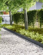 vidaXL Ограда за трева 50 бр. 100 x 0.05 x 20 см Антрацит